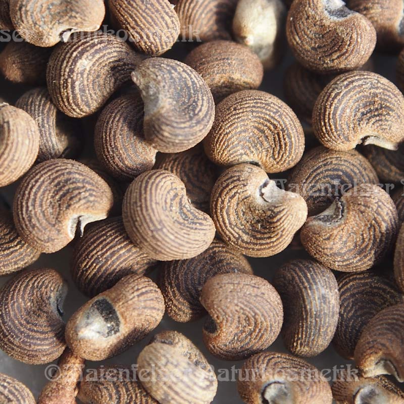 Moschuskörneröl