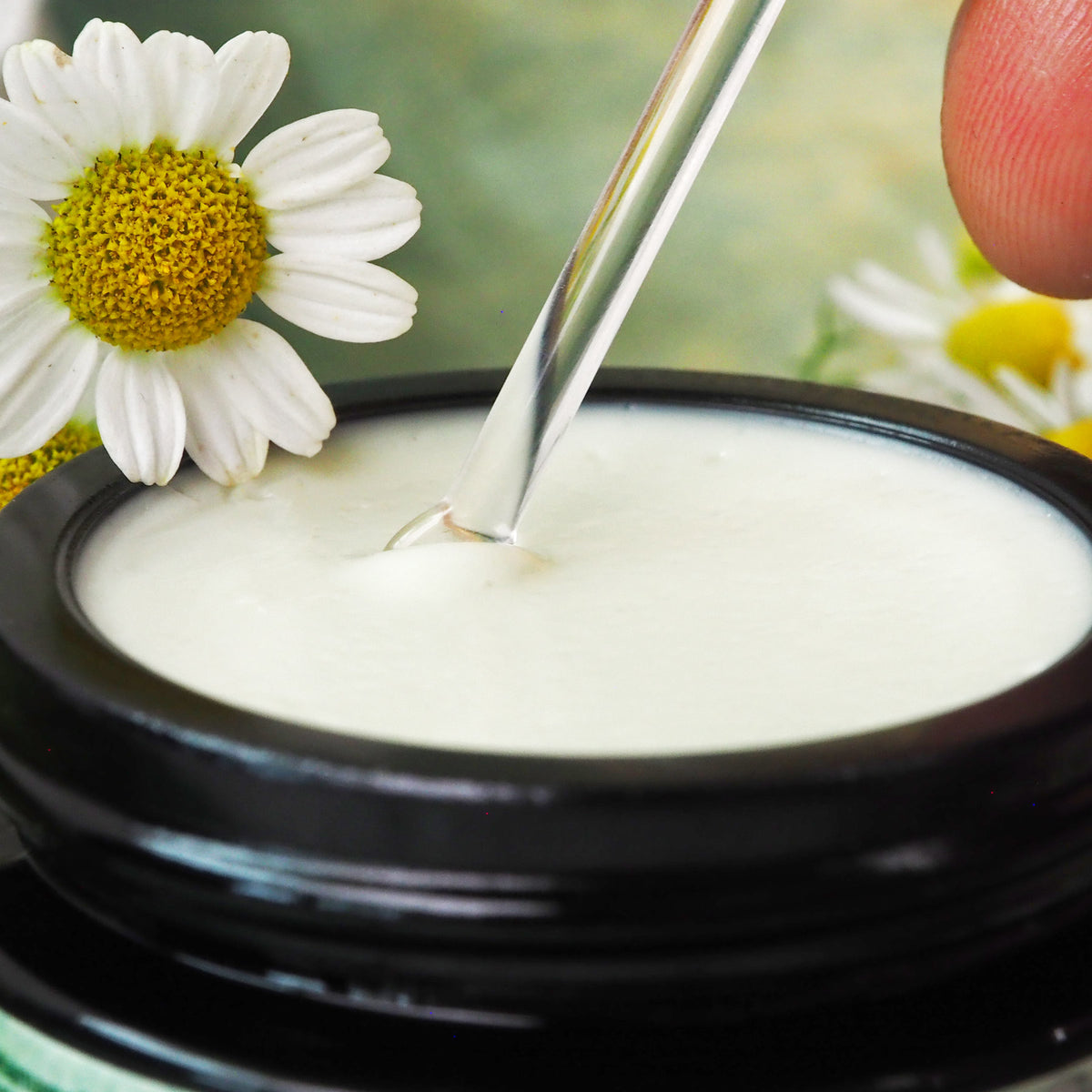 Geöffnete 35ml Kamillen-Hamamelis Creme, ein Glasspatel wird in die Creme getunkt.