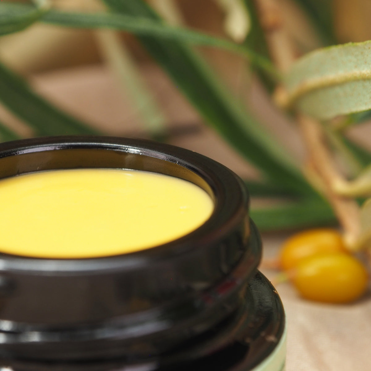 Geöffneter 7ml Sanddorn Creme Tiegel. Nahaufnahme.