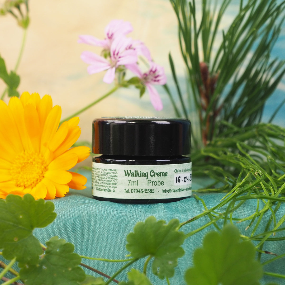 Walking Fußpflegecreme in 7ml Tiegel. Daneben liegt eine Ringelblume.