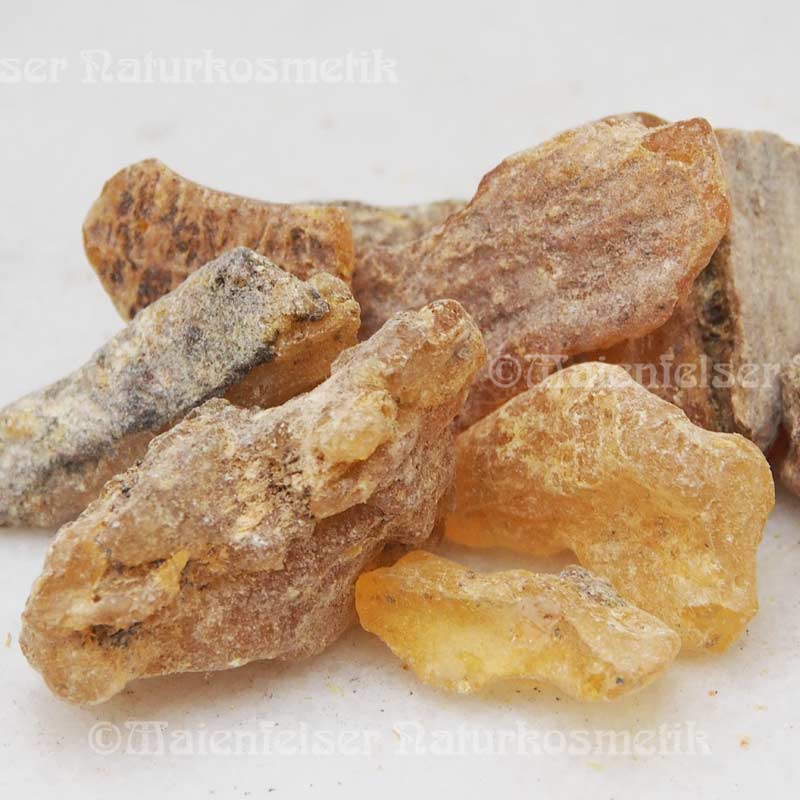 Copal fossil