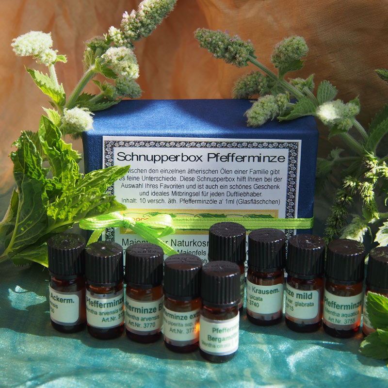 Schnupperbox "Pfefferminze"