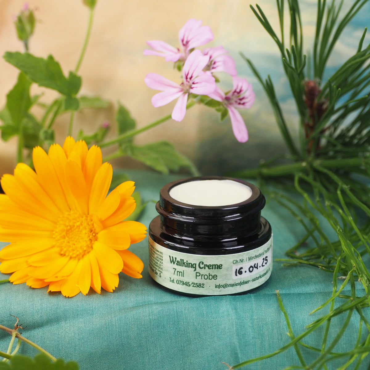 Geöffneter 7ml Walking Fußpflegecreme Tiegel. Daneben liegt eine Ringelblume.