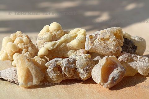 Olibanumharz Indien Premium