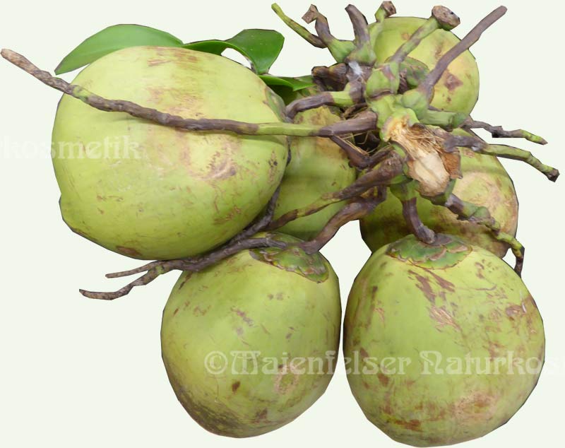 Cocos CO2 (5ml)