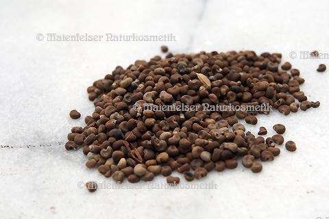 Moschuskörner (10 g)