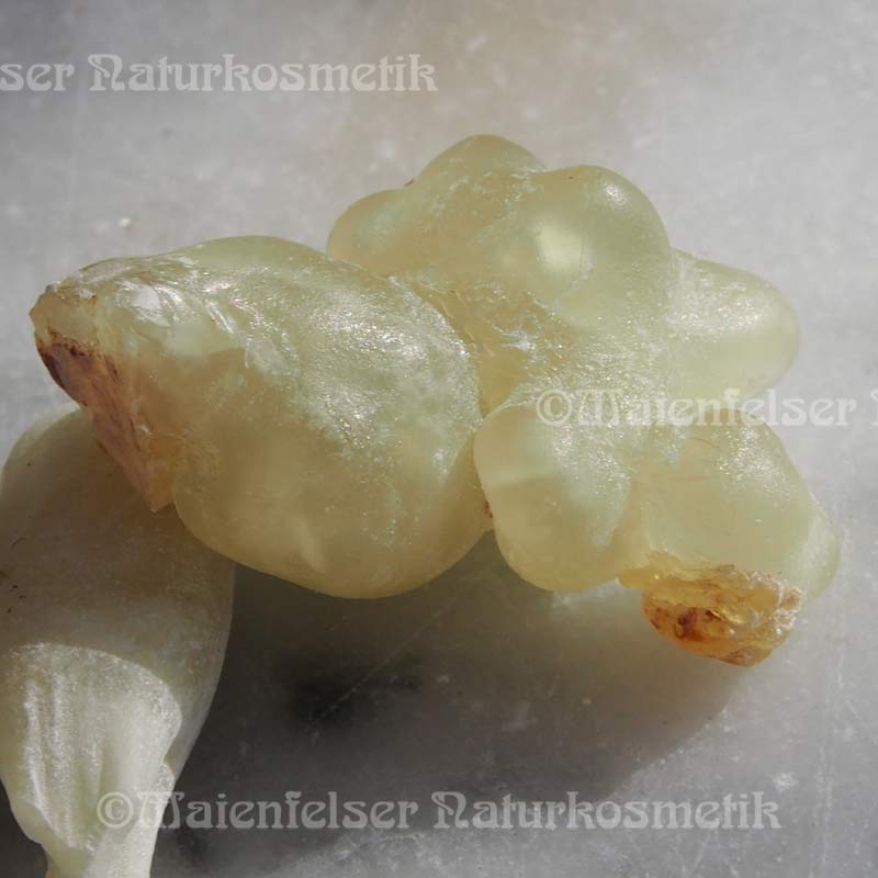 Weihrauch Premium Maydi Mushaad (2ml)