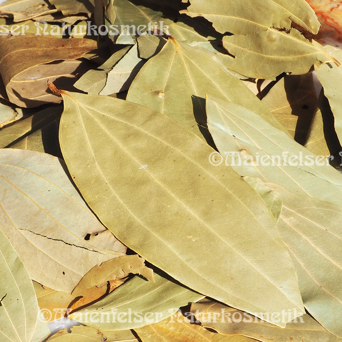 Tamala BIO (Tejpath) (5 ml)